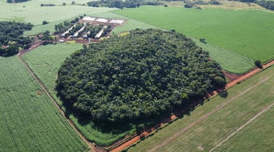Fazenda Barra: 84,72 ha com aptidão para grãos e agropecuária