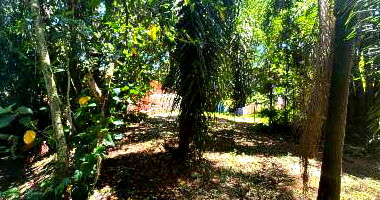 Casa Desocupada na Avenida João Carlos Viale Dias