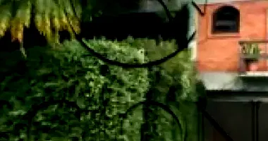 Terreno com Casa em Montenegro/RS - 510m²