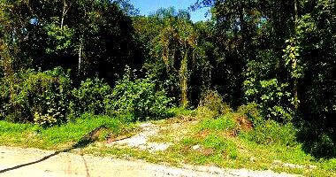 Residencial aconchegante com 56 m² construídos