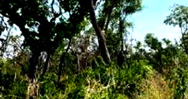 Fazenda Santa Maria Rural 508,96ha Ocupada