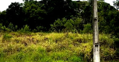 Terreno em Ivoiti com 367,65 m² - Oportunidade Única