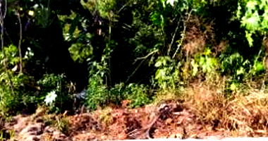 Terreno Urbano com 790,94m² em Dois Vizinhos-PR