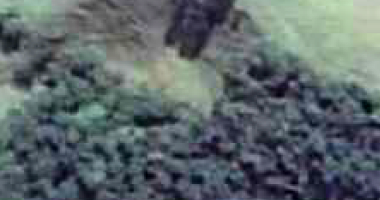 Terreno Rural com 82.720,20m² em São Pedro de Alcântara/SC