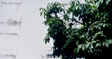 Apartamento Luxuoso em Ipanema com Vista Deslumbrante