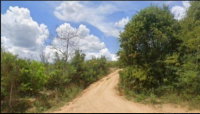 Fazenda Alvorada com 28,94 hectares em Encruzilhada - BA