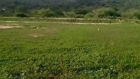 Terreno 2.144 m² em Jataúba