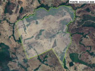 Fazenda com 231 hectares, ideal para investimento rural