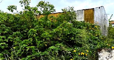 Casa com 2 quartos em Cear?-Mirim RN