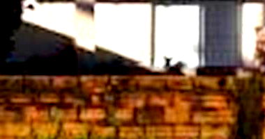 Casa Ocupada com 2 Quartos em Tubarão/SC