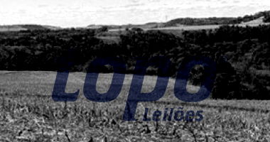 Terreno Rural com 10 Alqueires em Corbélia/PR