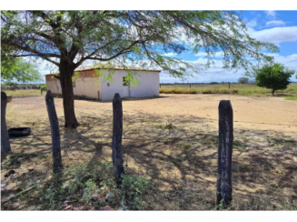 Sítio com 34,09 hectares e casa de 87m² em Afrânio/PE