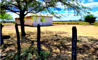 Sítio com 34,09 hectares e casa de 87m² em Afrânio/PE