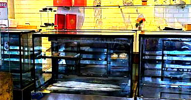 Vitrine América Seca e Estufa Iglu