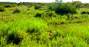 Terreno Amplo em São Gonçalo do Amarante/RN