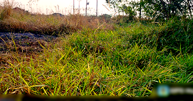 Terreno 276m² em Nova Alvorada do Sul
