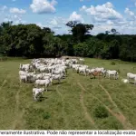 Propriedade Carabussu com 459,8 hectares em Quissamã/RJ