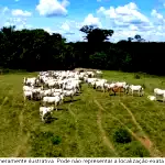 Propriedade Carabussu com 459,8 hectares em Quissamã/RJ