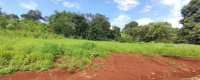Imóvel Rural com 36.288,00 m² em Três Barras do Paraná