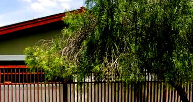 Casa com 300m² de Terreno no Jardim Eden, Nova Odessa/SP