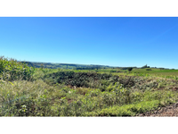 Sítio com 13,10 hectares em Campina da Lagoa/PR