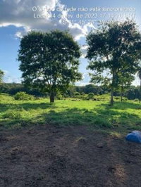 Fazenda com 79,79 ha para pecuária em Cariri do Tocantins