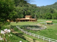 Terreno Rural com Residência e Galpão em Fraiburgo