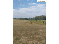 Chácara 4 hectares em Capané - Área agrícola