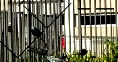 Apartamento com 2 quartos em Tatuapé, São Paulo