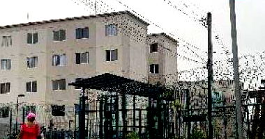 Apartamento com 2 quartos em Salvador