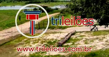 Imóvel Industrial com 432.629m² em Manaus/AM