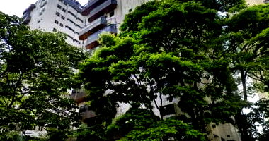 Apartamento padrão 4 quartos, 4 banheiros, 1 vaga, 304m², ocupado