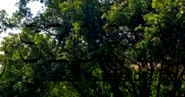 Terreno Urbano com 330m² em São Lourenço do Sul