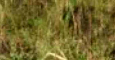 Terreno 140m² no Loteamento Vivari Feira de Santana