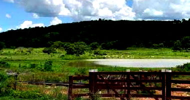 Fazenda Rural com Galpões e Casas em Nova Iguaçu de Goiás