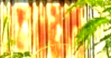 Casa Ocupada com 75m² Construída em Trindade/GO