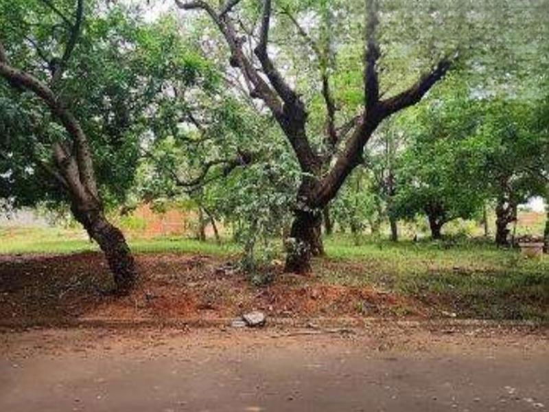 Lote Desocupado em Araçatuba com 300 m²