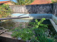 Casa com 4 dormitórios, piscina e escritório em Alto Alegre do Pindaré-MA