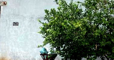 Casa Ocupada com 3 Quartos em Montes Claros de Goiás