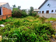 Terreno amplo 322m² com área livre e sem construções