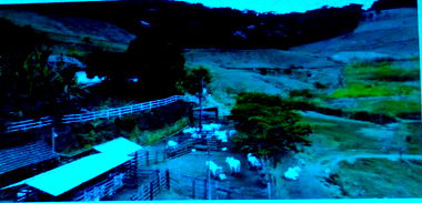 Fazenda Umbaúbas com 191 Hectares e 3 Residências