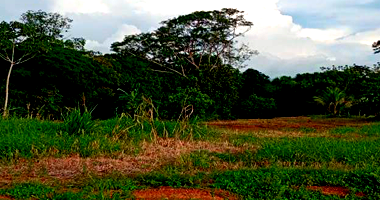 Terreno Desocupado em Nova Guarita