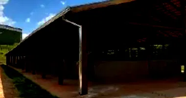 Terreno com Haras em Leilão - Reserva dos Equestres