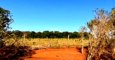 Propriedade Rural com Café em Guapé/MG
