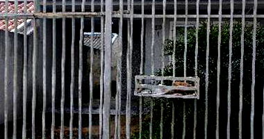 Casa em Fazenda Rio Grande com 3 quartos