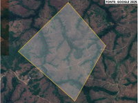 Fazenda Ouro Verde 481,85,23ha - Dois Irmãos do Tocantins/TO