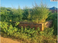 2 Lotes de terra - Sítio Lagoa Redonda