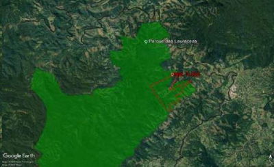 Área Rural de 726 hectares em Adrianópolis - Oportunidade Única!