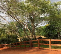 Terreno de 52ha em Nerópolis - Oportunidade Única!
