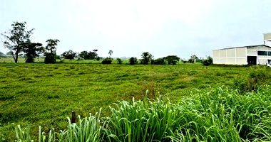 Terreno Amplo em Gaspar/SC - 4.561,35m²